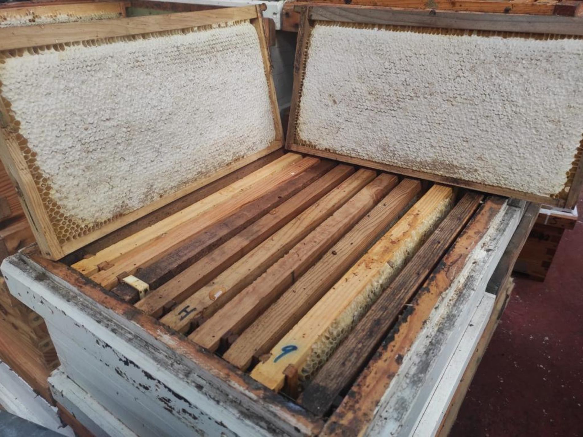 Proceso de elaboración de la miel