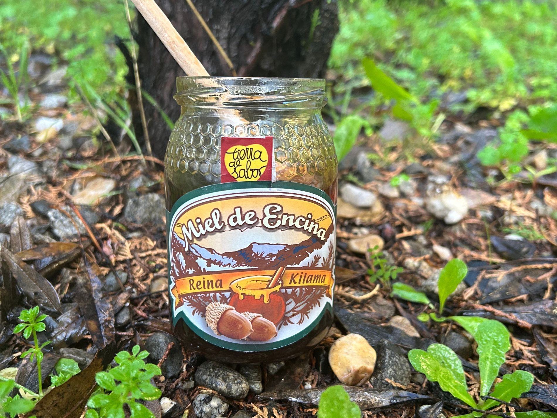 Miel Reina Kilama para el otoño